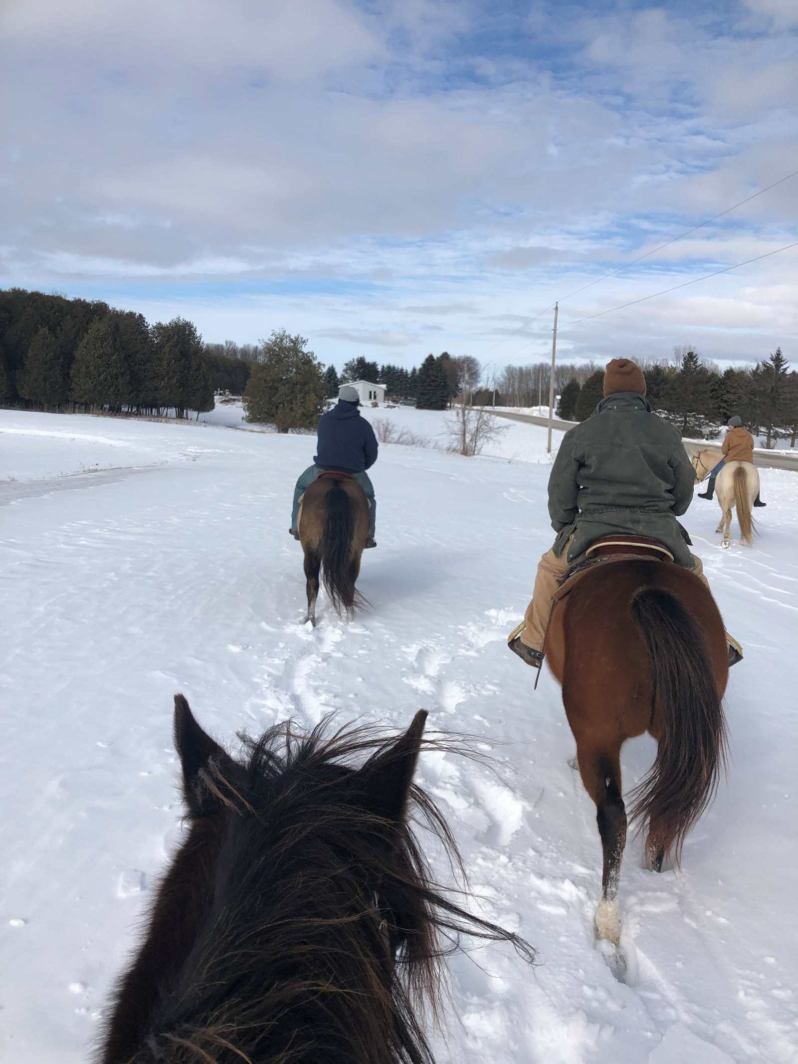 Horse Boarding Rough Board